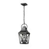 Black Outdoor Pendant Light 2-Light Outside Pendant Hanging Light Fixture Ceiling Mount with Clear Glass Industrial Hanging Cage Chandelier for Porch