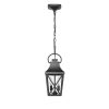 Black Outdoor Pendant Light 2-Light Outside Pendant Hanging Light Fixture Ceiling Mount with Clear Glass Industrial Hanging Cage Chandelier for Porch