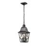 Outdoor Pendant Light Fixture