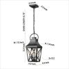 Black Outdoor Pendant Light 2-Light Outside Pendant Hanging Light Fixture Ceiling Mount with Clear Glass Industrial Hanging Cage Chandelier for Porch